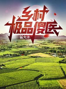 乡村极品傻医封面