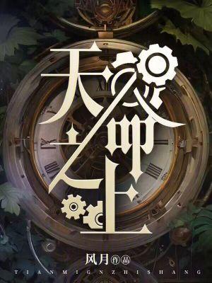 天命之上封面