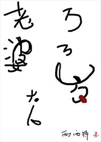 老婆大人万万岁封面