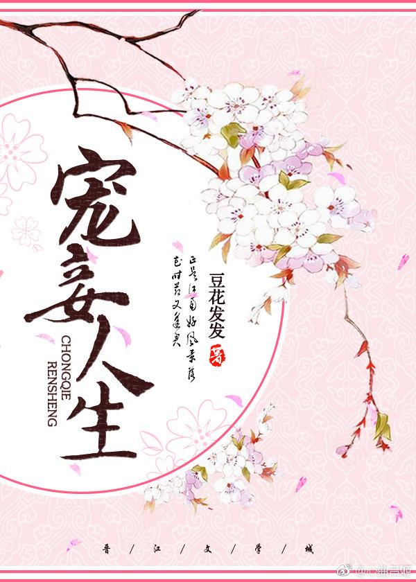 宠妾人生封面