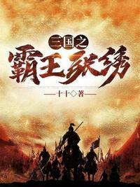 三国之霸王张绣封面