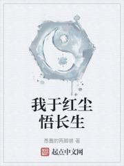 我于红尘悟长生封面