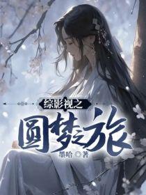 综影视之圆梦之旅封面