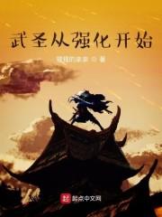 武圣从强化开始封面
