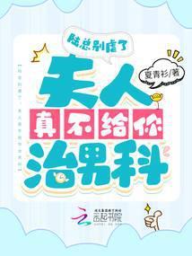 陆总别虐了，夫人真不给你治男科封面