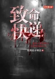致命快递封面