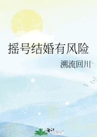 摇号结婚有风险封面