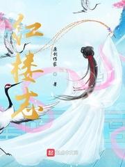 红楼志封面