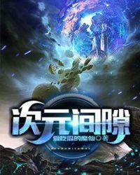 次元间隙封面