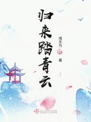 归来踏青云封面