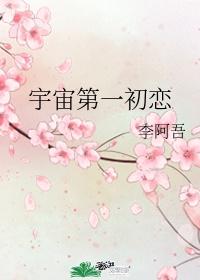 宇宙第一初恋封面