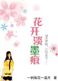 花开淡墨痕封面