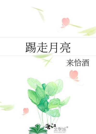踢走月亮封面