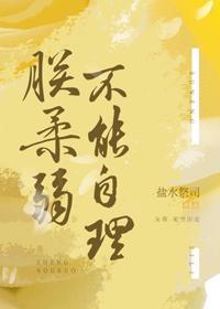 朕柔弱不能自理（女尊）封面