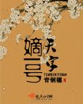 天字嫡一号封面