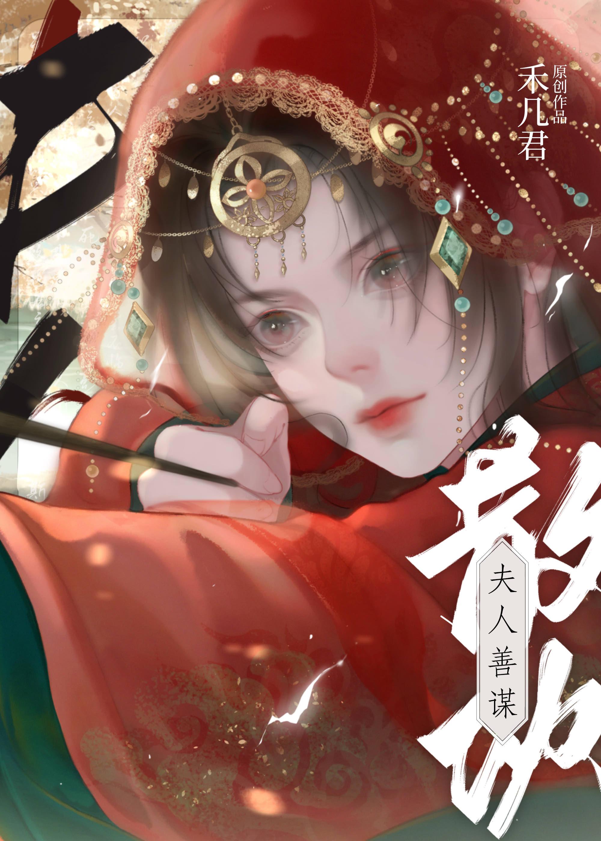 夫人善谋封面