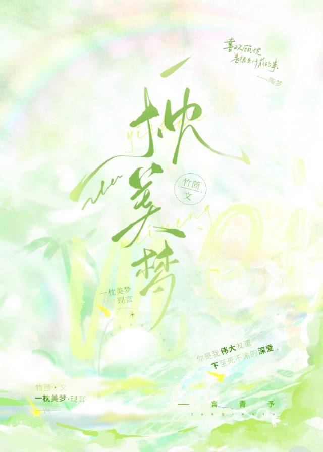一枕美梦封面