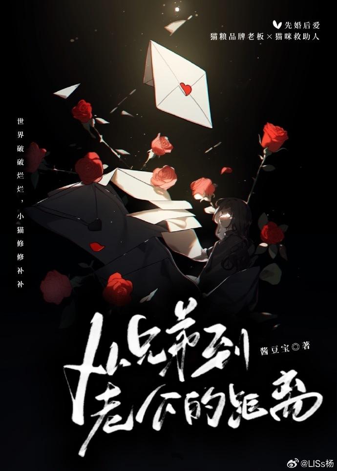从兄弟到老公的距离封面
