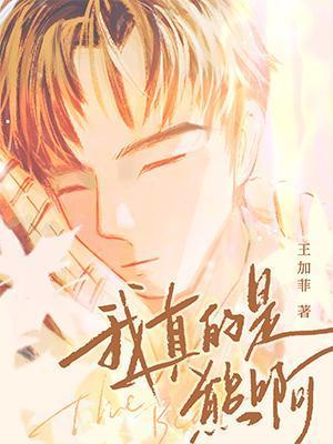 我真的是熊啊封面