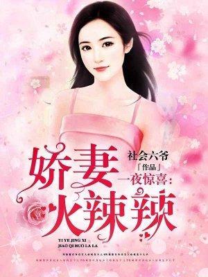 一夜惊喜:娇妻火辣辣封面