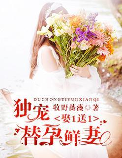 娶1送1:独宠替孕鲜妻封面