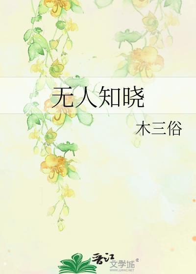 无人知晓封面