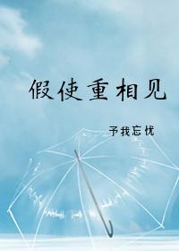 假使重相见封面