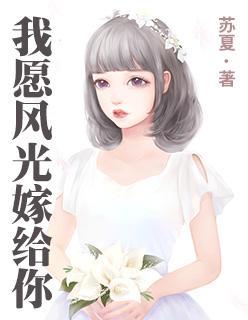 我愿风光嫁给你封面