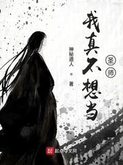 我真不想当圣师封面