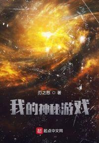 我的神秘游戏封面
