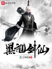 黑袍剑仙封面