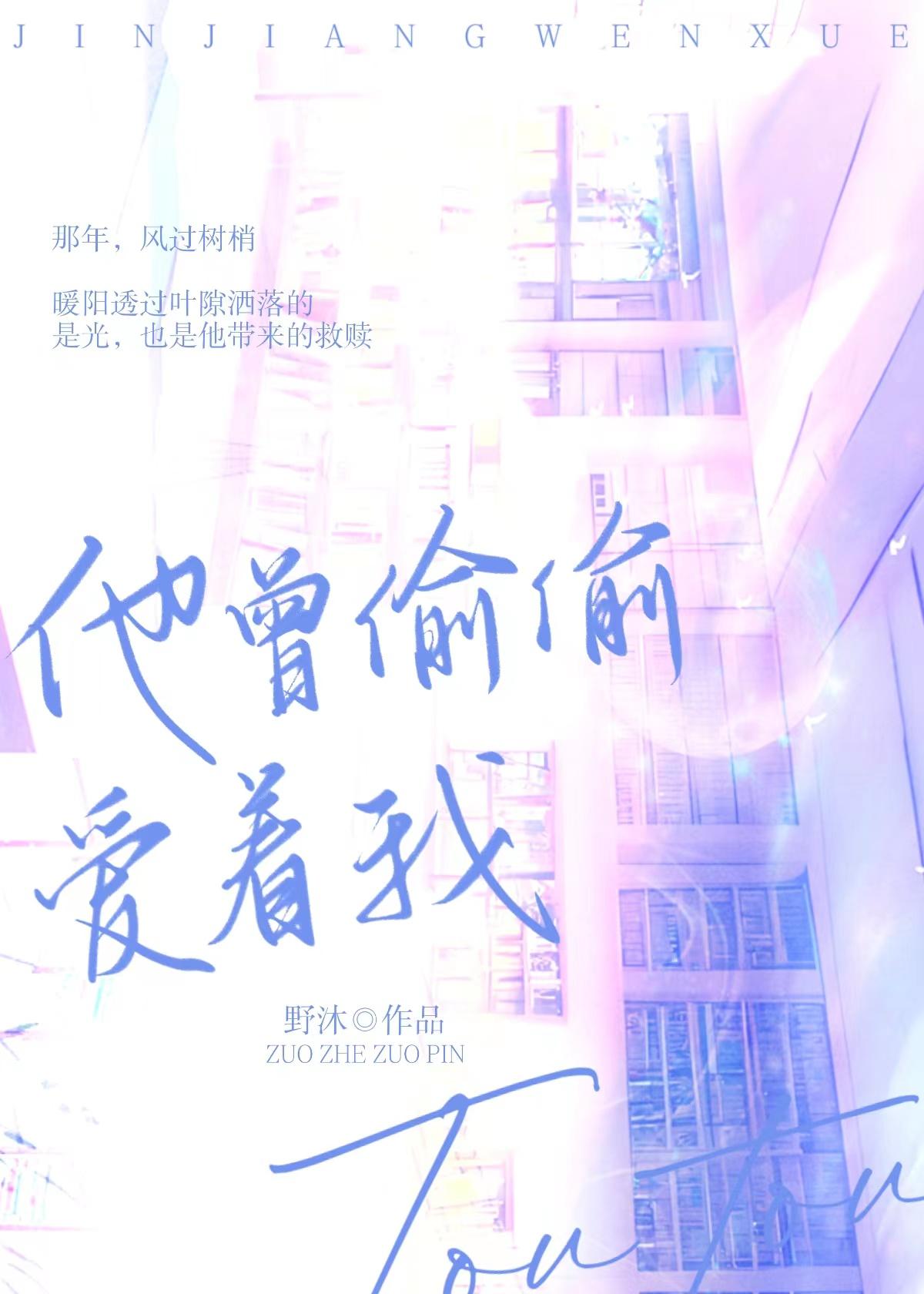 他曾偷偷爱着我[校园]封面