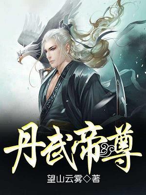 丹武帝尊封面