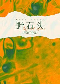 野石头封面