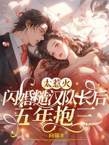 太惹火,闪婚糙汉队长后五年抱三封面
