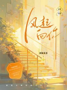 风起向你封面