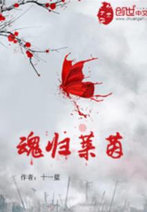 魂归莱茵封面