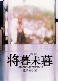 将暮未暮（军旅）封面