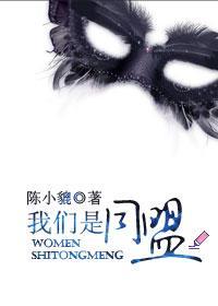我们是同盟封面