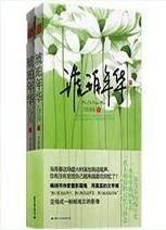 琥珀年华封面