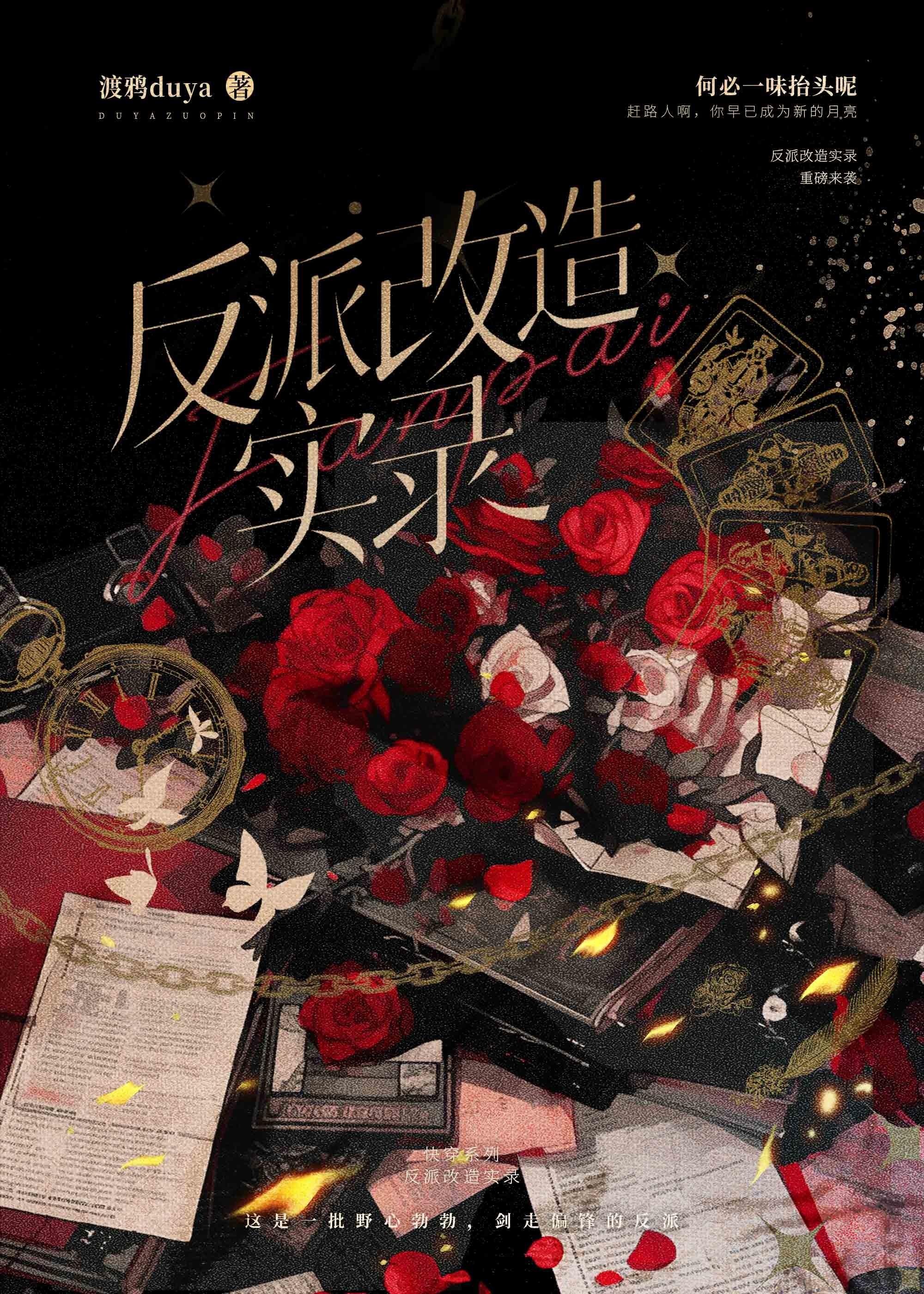 迷人的反派角色(快穿)封面