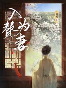 入赘为妻封面