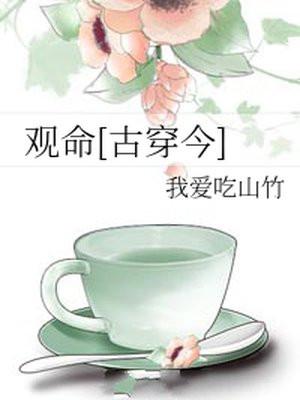 观命封面