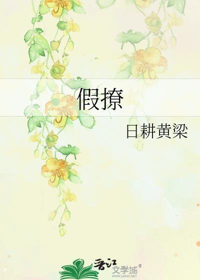 假撩封面