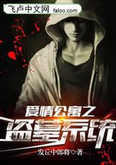 爱情公寓之盗墓系统封面