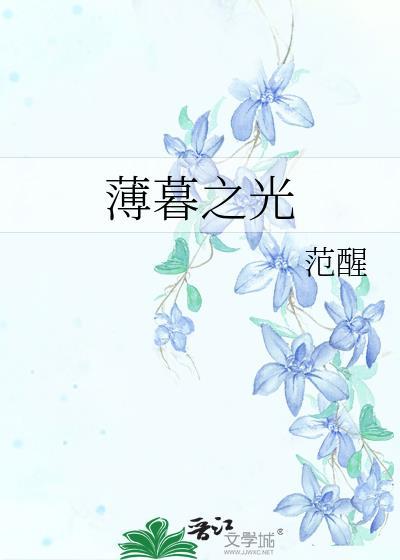 薄暮之光封面
