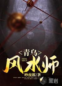 青乌风水师全文封面