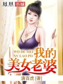 我的美女老婆封面