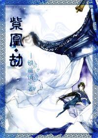 紫凰·劫封面