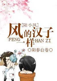 风一样的汉子封面